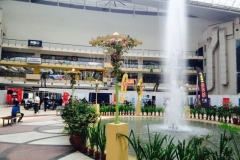 IMG_666612122014105817AM_O