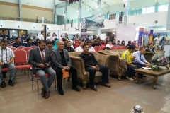 IMG_51211216201542826PM_O