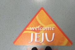 IMG_496912162015122340PM_O