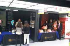 IMG_497612162015122354PM_O