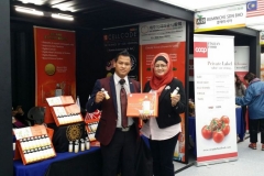 IMG_498712162015122425PM_O