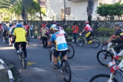 IMG_25461119201490152AM_O