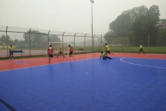 IMG_46631062015114151AM_O