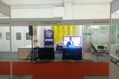 IMG_5353224201683351PM_O