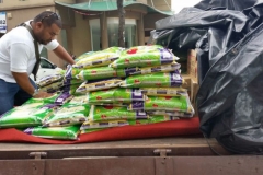 IMG_3155119201582357AM_O